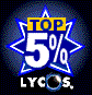 Lycos Top 5%
award!